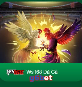 g6bet